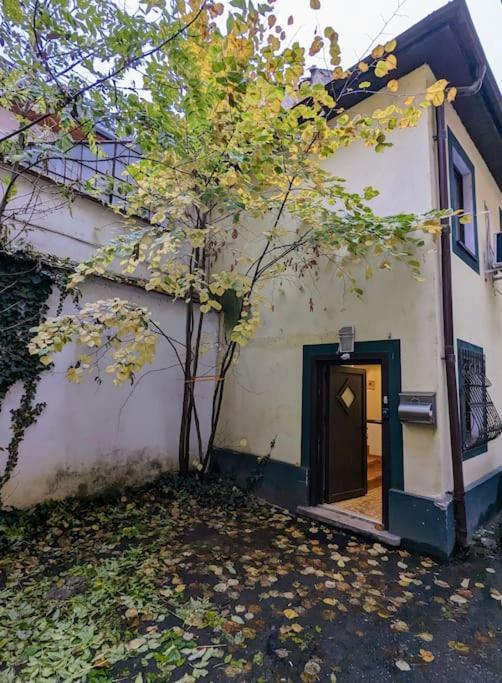 Maisonette Balcesco Брашов Экстерьер фото